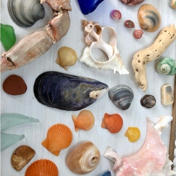 Beautiful Beach Treasures - Picture 3 of 7